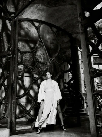 The Gaudi Issue
