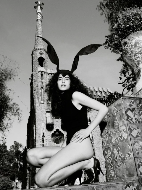 The Gaudi Issue