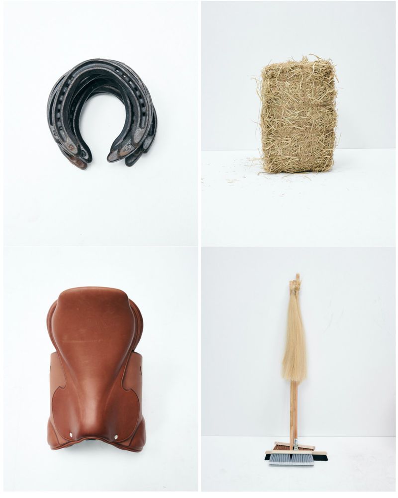 Four equestrian themed images: horseshoes, hay bale, horse saddle, and broom with blonde hair on a white backdrop.