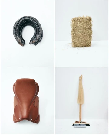 Four equestrian themed images: horseshoes, hay bale, horse saddle, and broom with blonde hair on a white backdrop.