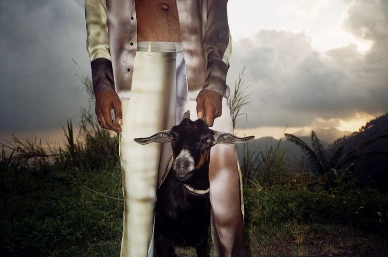 Man holds a black goat in an outdoor rural setting with grass and mountains in the background, under an overcast sky at dusk.