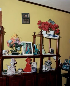 Wooden display cabinet filled with porcelain figurines, faux flowers, and a framed photograph against a pale yellow wall.