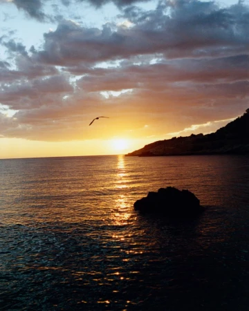 Golden sunset over calm ocean waters with a flying bird silhouette and coastal rock formations.