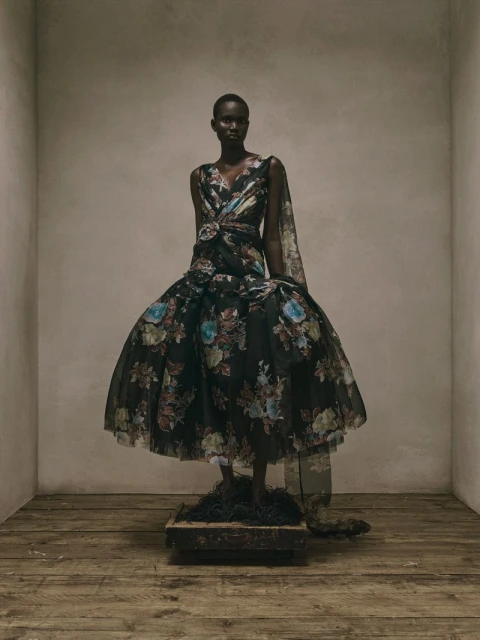 Erdem Pre-Fall 2027 Lookbook
