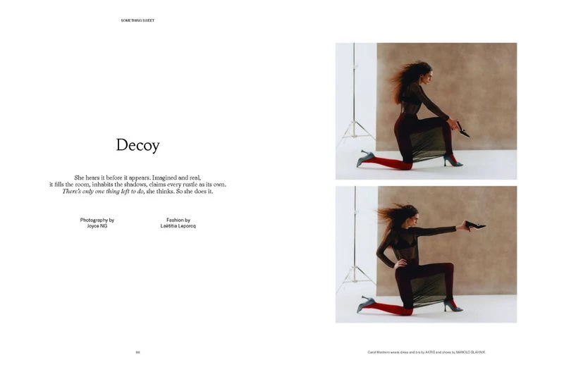 Decoy