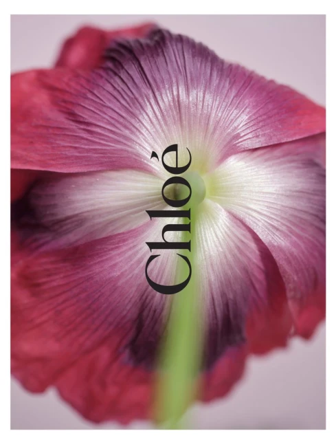 Chloé 520