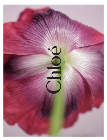 Chloé 520