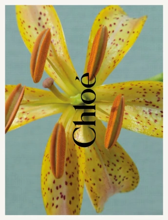 Chloé 520