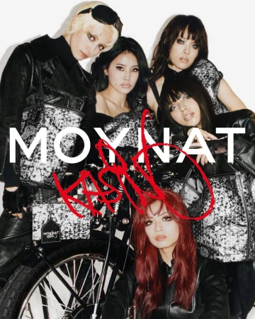 Moynat DSM- Kasing Lung collaborati ...
