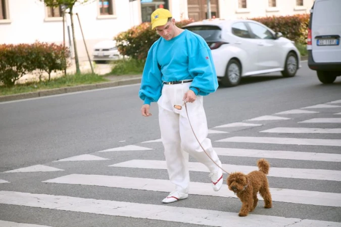 Man in a bright blue sweatshirt, yellow cap, and white trousers walking a small brown dog across a pedestrian street crosswalk.
