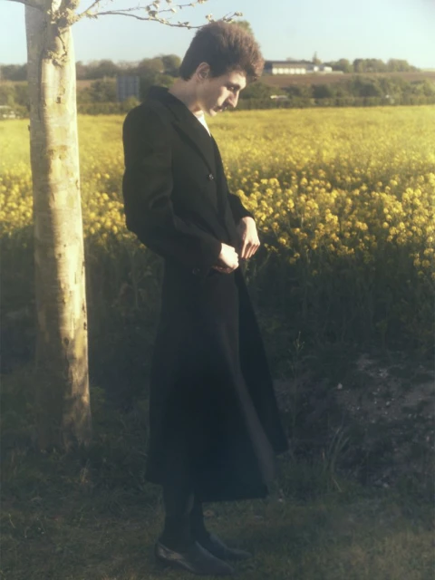 The Vale