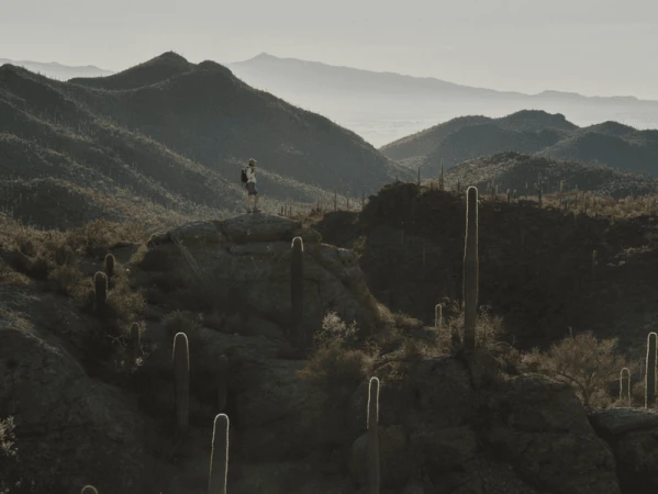 A lone figure with a backpack standing atop a rocky outcrop surrounded by saguaro cacti and layered desert mountains.