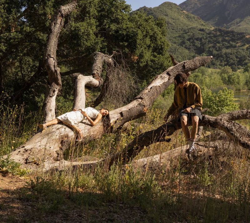 A woman in a white dress reclining and a person sitting on a massive fallen tree in a lush natural landscape.