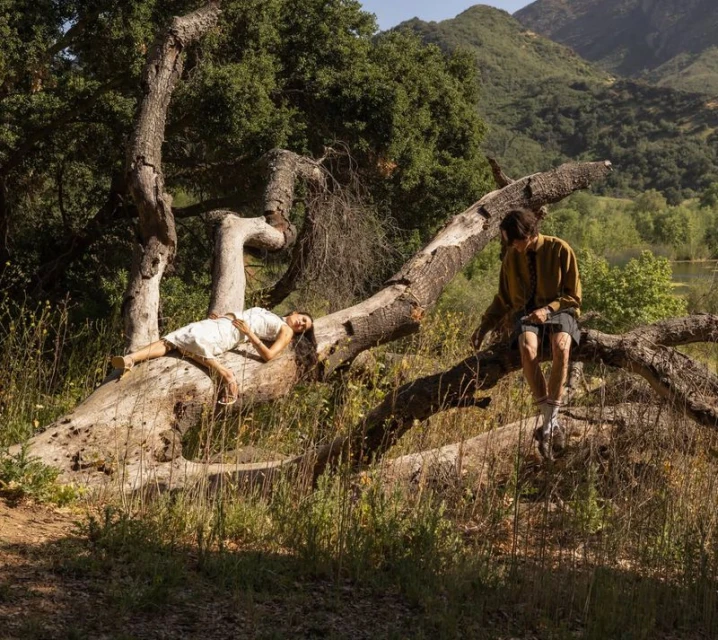 INTO THE WILD