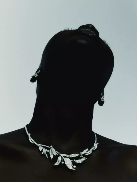 Jewelry Issue