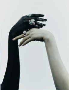 Two contrasting hands, one deep-toned and one fair, intertwined while wearing ornate floral gemstone rings against a white backdrop.