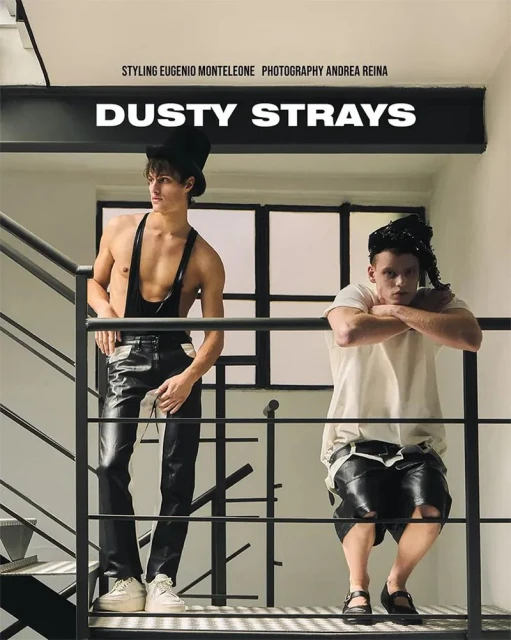 Dusty Strays