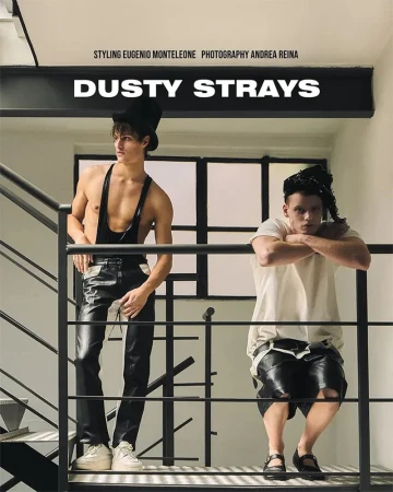 Dusty Strays