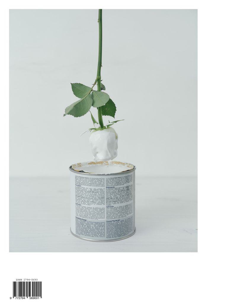 White rose dipped in white paint, stem inside a paint can on a white surface against a white background, creating a minimalist studio shot.