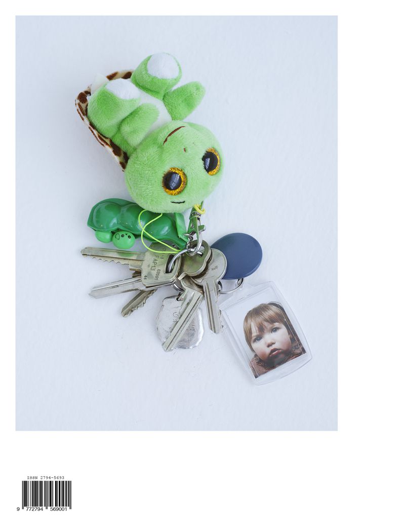 Keychain with stuffed turtle, keys, blue fob, and photo ID on white surface; close-up, studio-style product photo, minimal background.