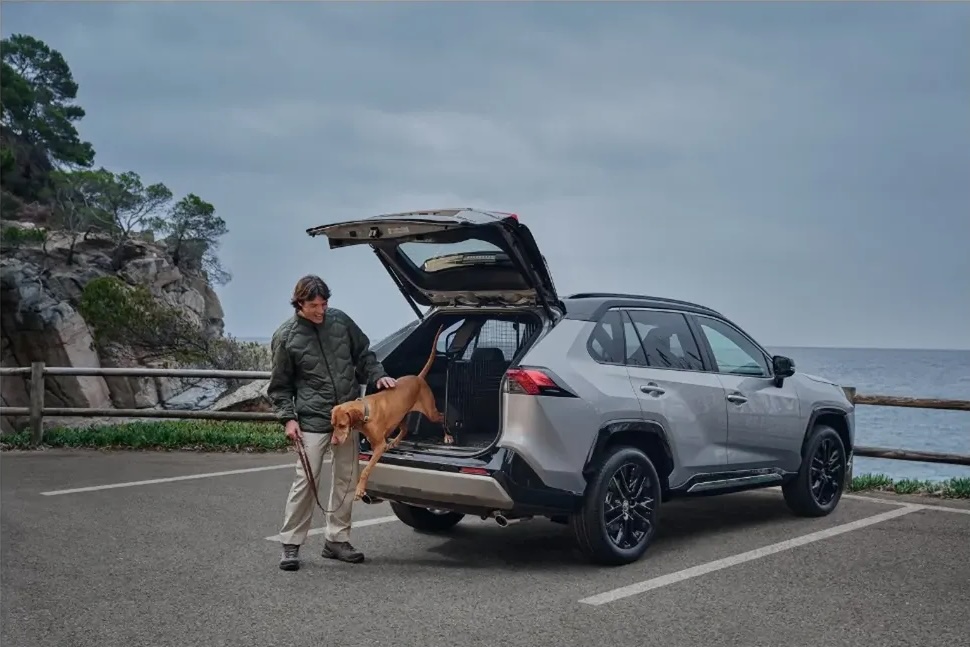 A silver SUV is parked near the coast, a man stands by the open trunk petting his dog that is climbing into the car.