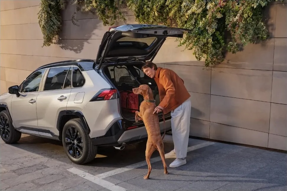 Silver SUV with open trunk, a man petting a dog reaching into the car. Exterior shot with greenery in the background.