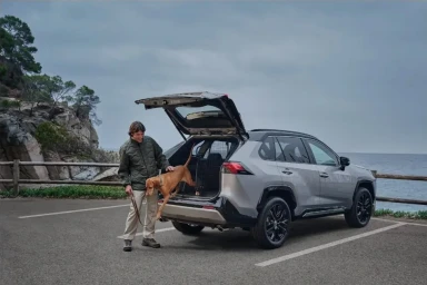 Man standing next to a silver SUV with an open trunk, interacting with a brown dog near a coast.