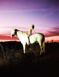 Woman in a shimmering mini dress leaning back on a white horse in a field under a vivid purple and pink sunset sky.