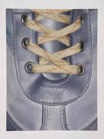 Close-up of a blue and silver boot with thick, woven tan and brown laces. Focus on the texture and detail of the boot and laces.