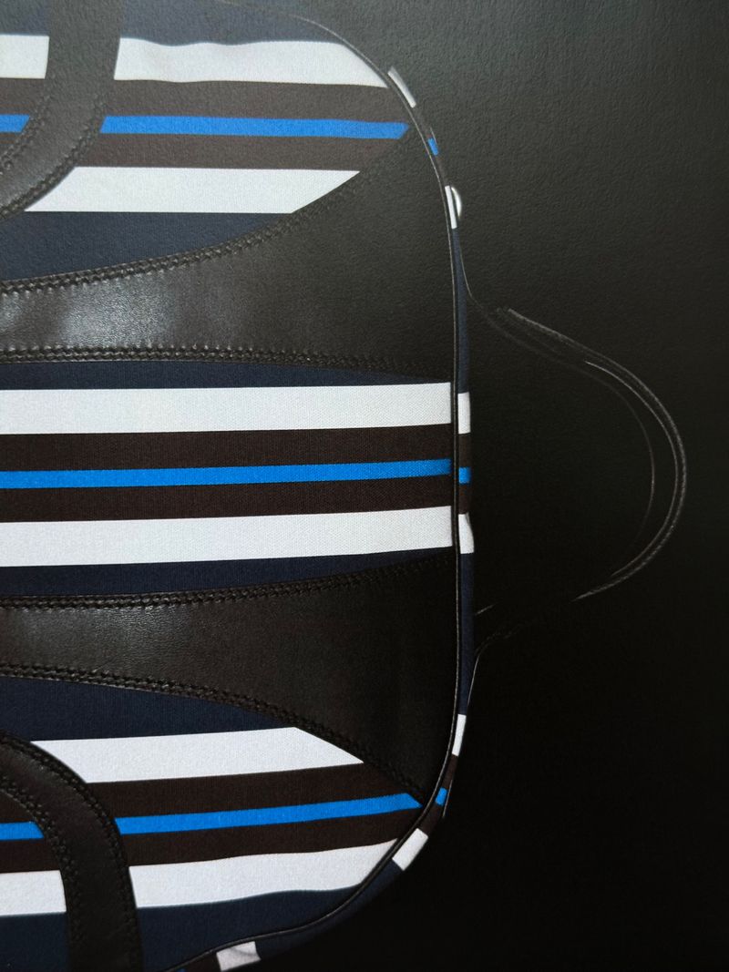 Cropped product shot: a fashionable handbag with a striped pattern in white, blue, and brown, accented by black leather patches.