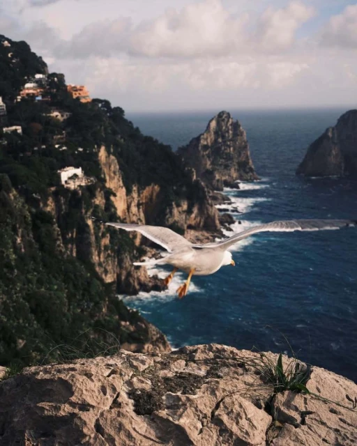 A Reportage on Napoli