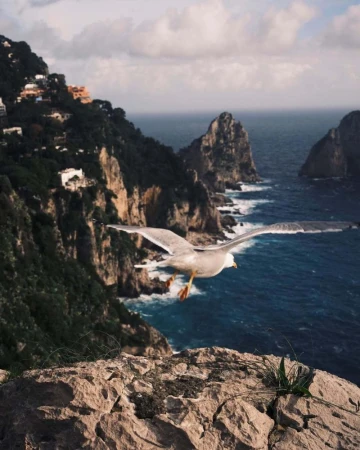 A Reportage on Napoli