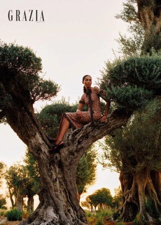 Fashion editorial shot of a woman in a patterned dress sitting in a large, old tree in a sunlit grove. 'Grazia' magazine logo visible.