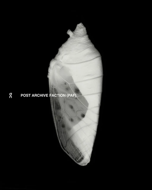 On x POST ARCHIVE FACTION (PAF). CUR ...