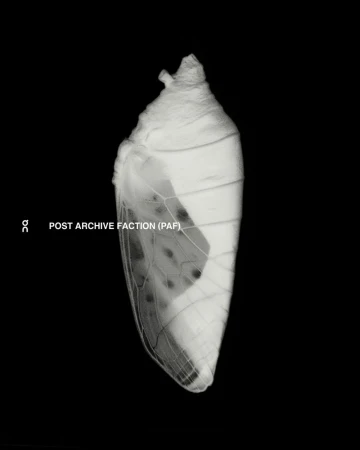 On x POST ARCHIVE FACTION (PAF). CUR ...