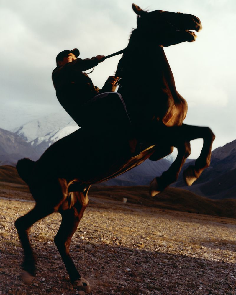 A person in a black cap riding a dark horse rearing on its hind legs against a mountainous landscape with snow-capped peaks.
