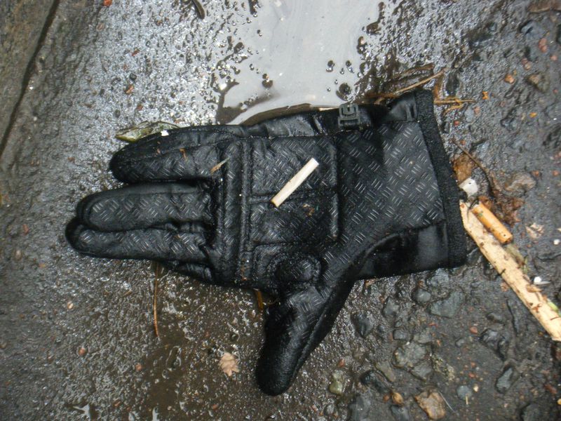 Black textured winter glove lying on a wet surface outdoors, near small pieces of wood and plant debris; the glove is the main focus.