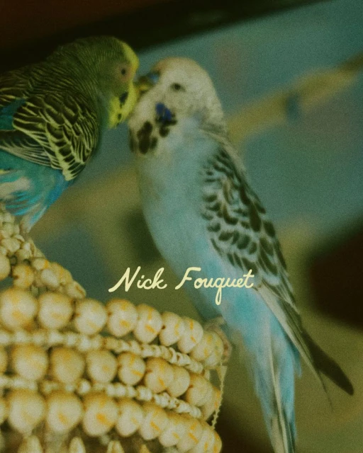Two colorful budgerigars perched closely together on an ornate beaded shell structure in soft light.