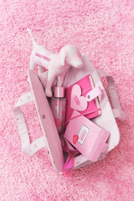 Fall 26 PINK x ELLE Campaign