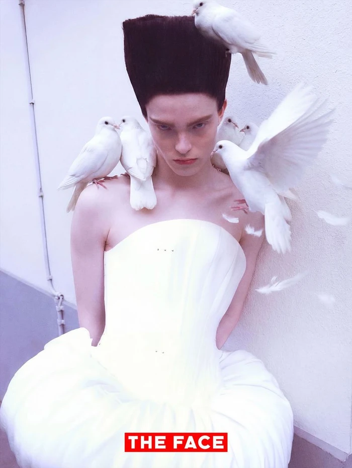 Model with tall columnar black hair wearing a white strapless gown surrounded by perched and flying white doves.