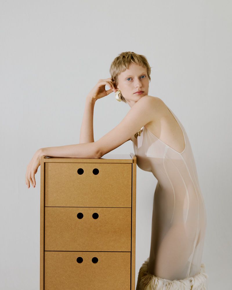 Model leaning on a brown wooden cabinet wearing a sheer dress with fringe against a white background