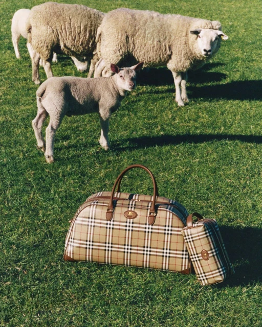 ‘Escape to the Countryside’ Ad Campaign