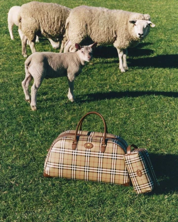 Burberry check duffle bag and pouch resting on green grass in a field with sheep and a lamb standing behind them.