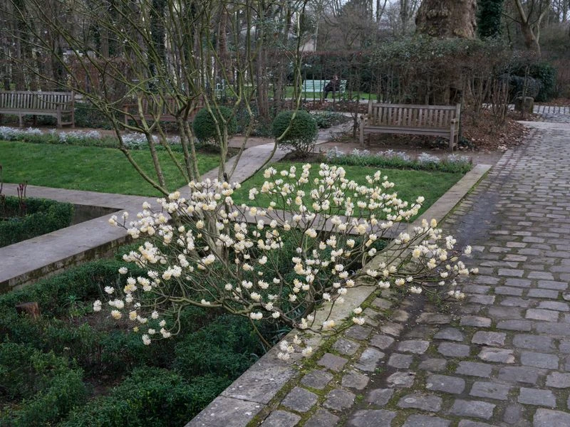 Right After the Winter