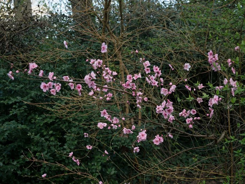 Right After the Winter