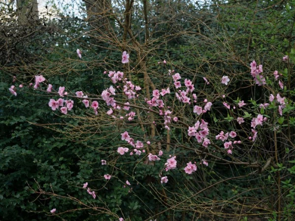 Right After the Winter