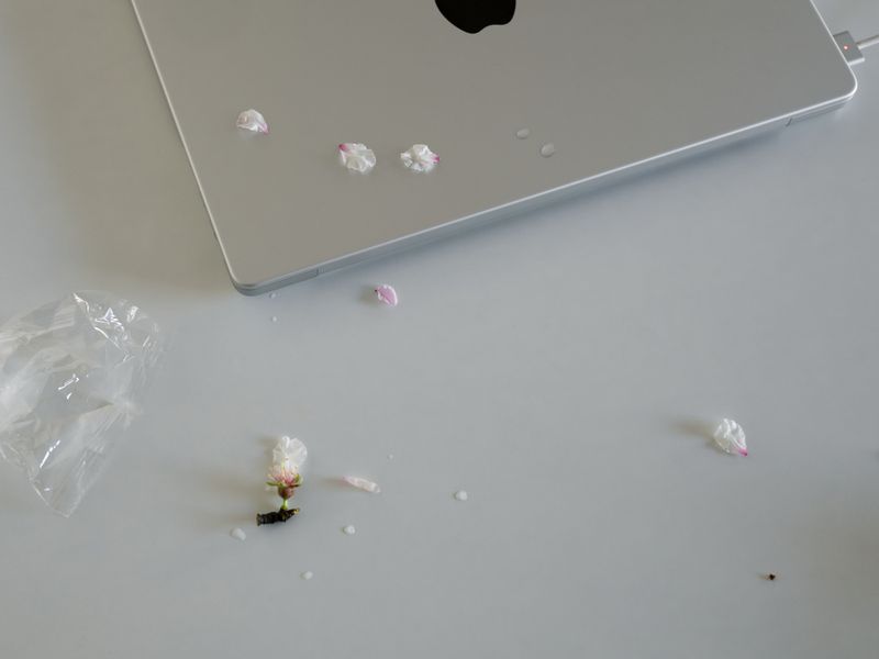 Cherry blossom petals and water droplets scattered over a closed silver laptop on a plain white tabletop.