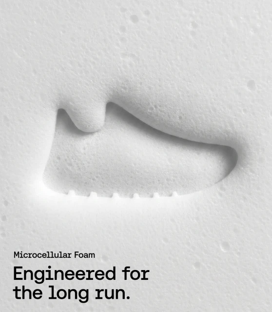 Brand Identity