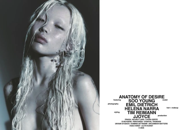 Anatomy of Desire