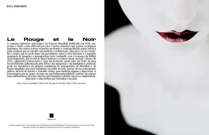 Le Rouge et le Noir
